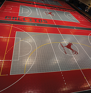 Indoor BounceBack Image