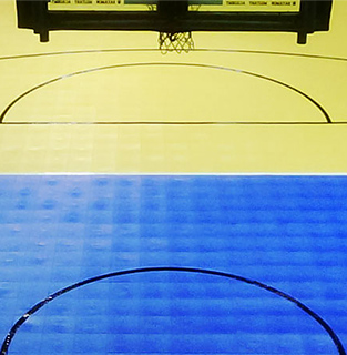 Indoor Reactive Image