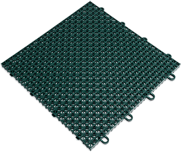 evergreen